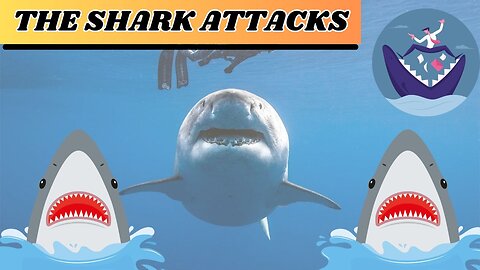 Shark Attacks