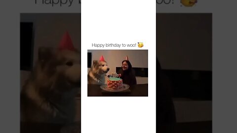 This must be the most wholesome birthday 😊😊😊 #shorts #viral #subscribe #shortvideo #reels #lol