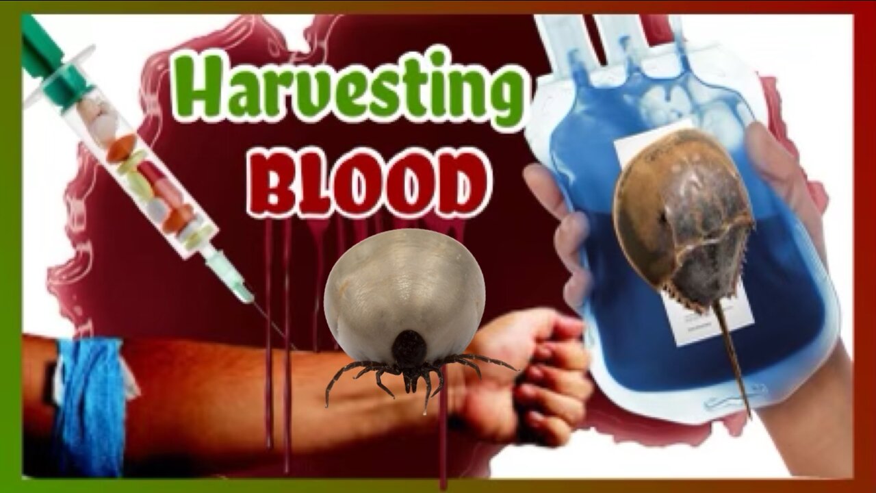 HARVESTING BLOOD