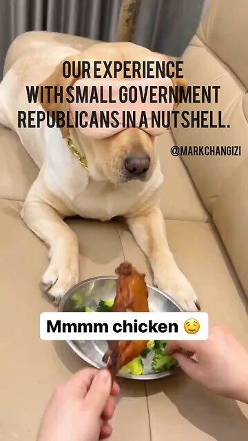 Our experience with small government Republicans in a nutshell.