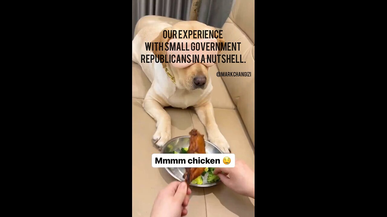 Our experience with small government Republicans in a nutshell.