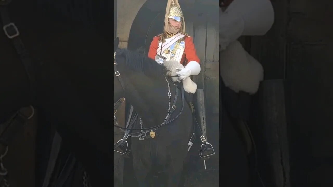 No you cant feed the Horse #horseguardsparade