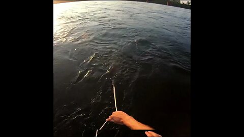 fishing the tennessee river