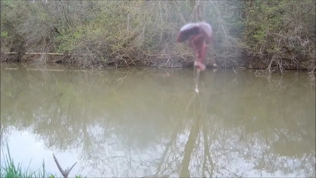 Fishing & talking Ray Mears, Hannah Barron and a Beaver