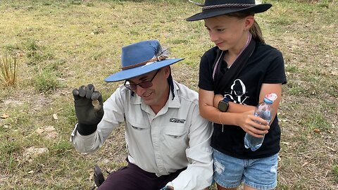 A Kangaroo Coin Metal Detecting