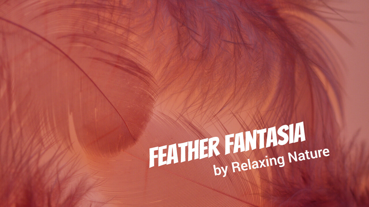 Feather Fantasia - 60 minutes ofBeautiful, Relaxing Music for Study, Work, Meditation, Sleep