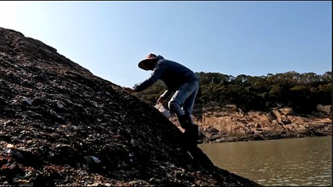 Find natural oysters by the sea