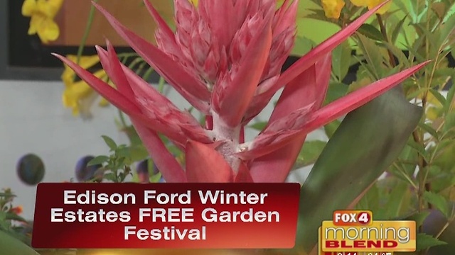 Fun Is In Bloom With A FREE Garden Festival 11/18/16