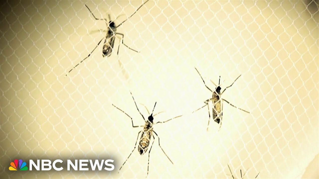 Dangerous mosquito-borne diseases threaten communities