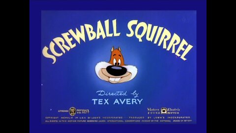 Screwball Squirrel (1944)