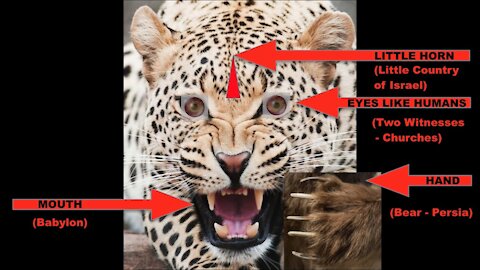 Who are the SAINTS of Daniel 7? (SHOCKING TRUTH!) ~9Nania~