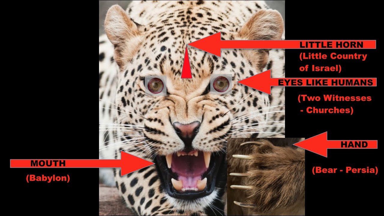 Who are the SAINTS of Daniel 7? (SHOCKING TRUTH!) ~9Nania~