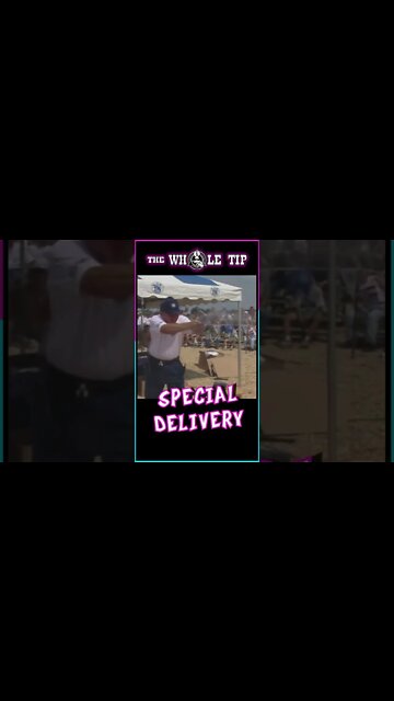 SPECIAL DELIVERY - the Whole Tip #shorts #short #shortvideo