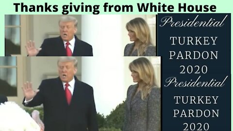 Turkey Ceremony in White House by Trump and First Lady- Thanks Giving to all Americans 2020