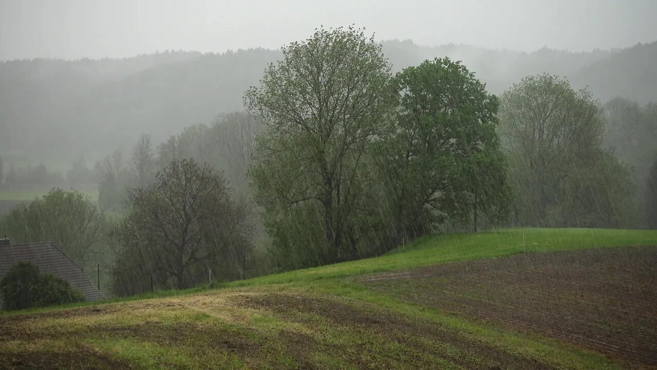 Rain Heavy Rain Country Rain Downpour Cloudburst 😊 White Noise for Sleeping, Relaxing, Study