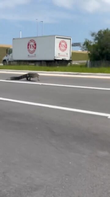 today 😳😳Miami-Dade County