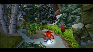 Crash Bandicoot 2: Diggin' It