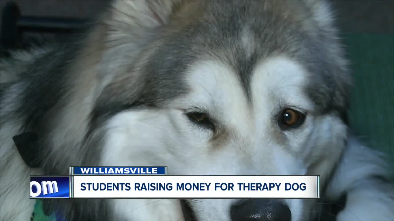 Three-legged dog with four legs of support from students at Dodge Elementary School