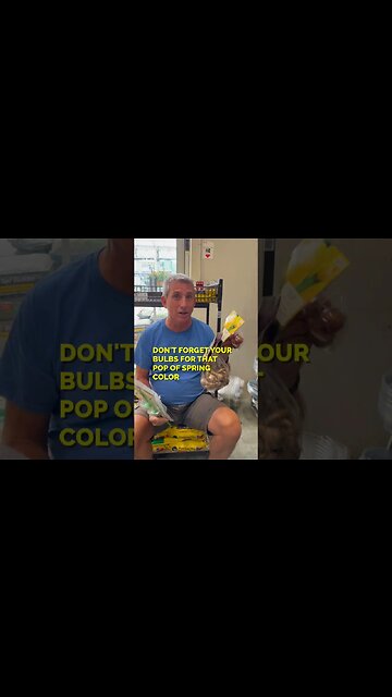 The Bulbs are Back in Town