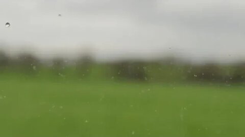 Harry’s Wife : She Talks More Than Her Guests