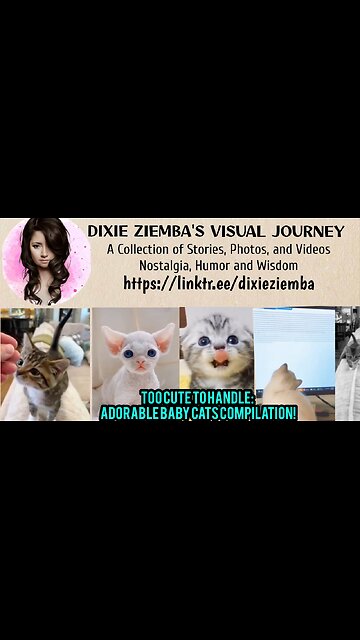 Too Cute to Handle: Adorable Baby Cats Compilation!