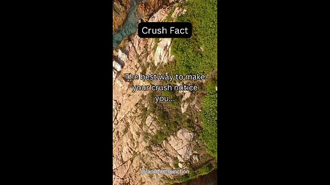 The best way to make your crush notice you…