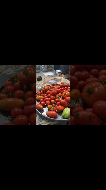 Weeds were my worst enemy