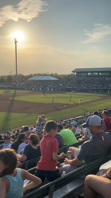 Taking In A Charleston Riverdogs Baseball Game