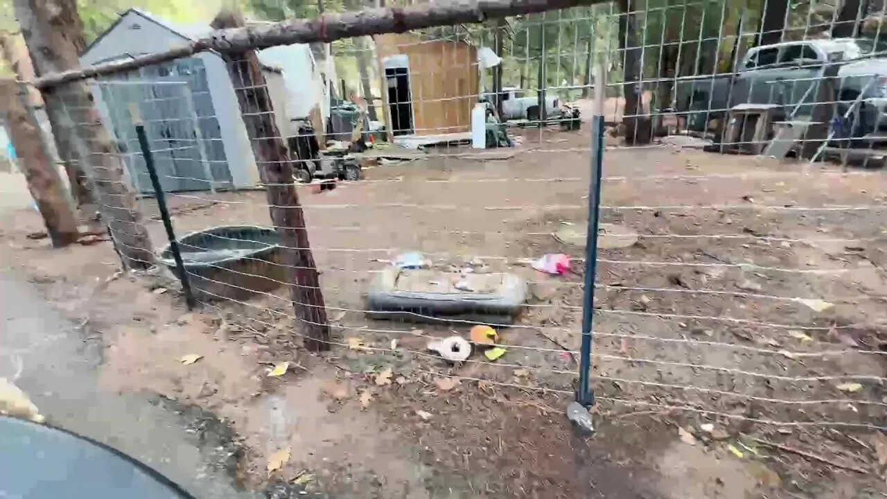 Donnie and panda get new toys thanks digga