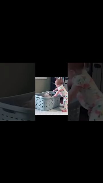 CAT Kung Fu Strikes again! #cutecats 😂