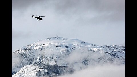 The Revelstoke Helicopter Tragedy: A Detailed Report