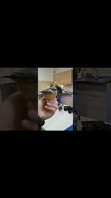 29 października 2023