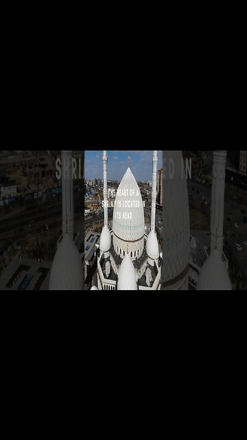 RANDOM FACTS! For The Curious Mind Vid #77 #Shorts #Facts #mindblowing #factsyouprobablydidntknow