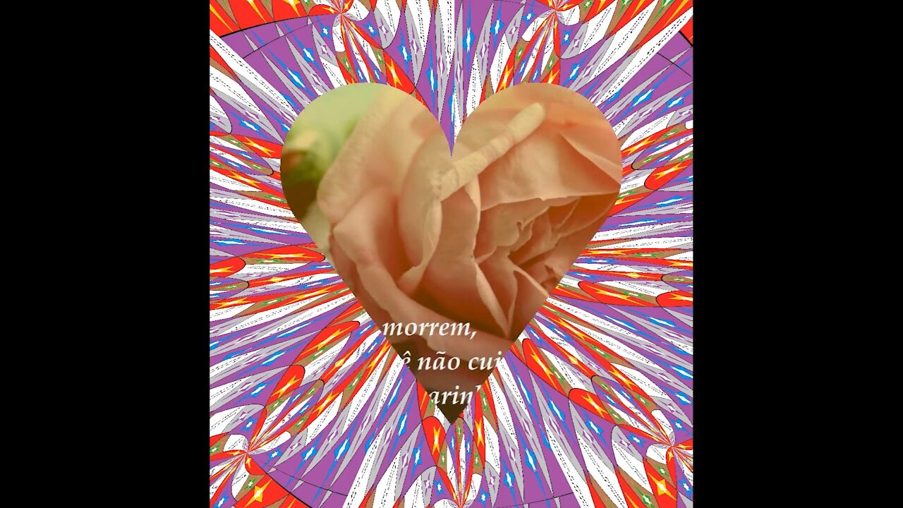 As rosas murcham quando morrem, cuide do seu amor! (Reflexão) [Frases e Poemas]