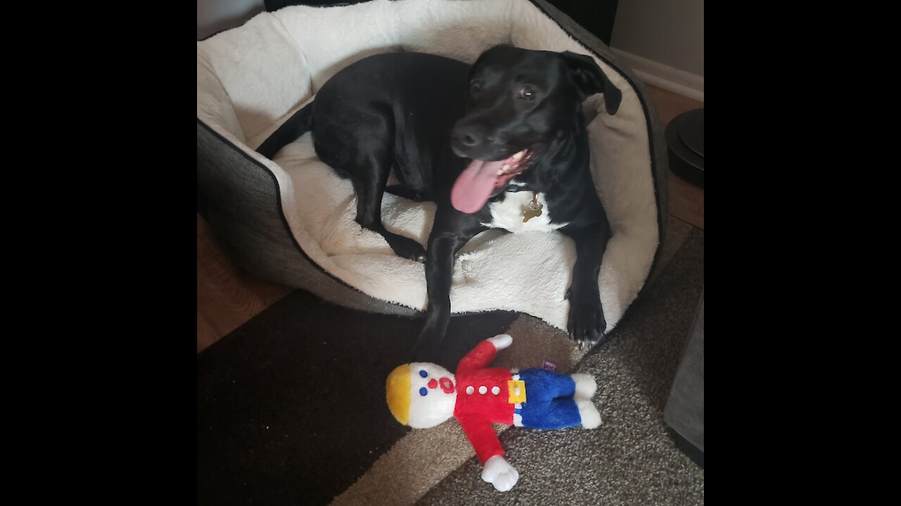 Teva Meets Mr. Bill