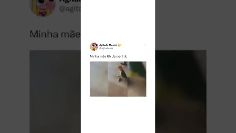 MINHA MÃE 6H DA MANHÃ