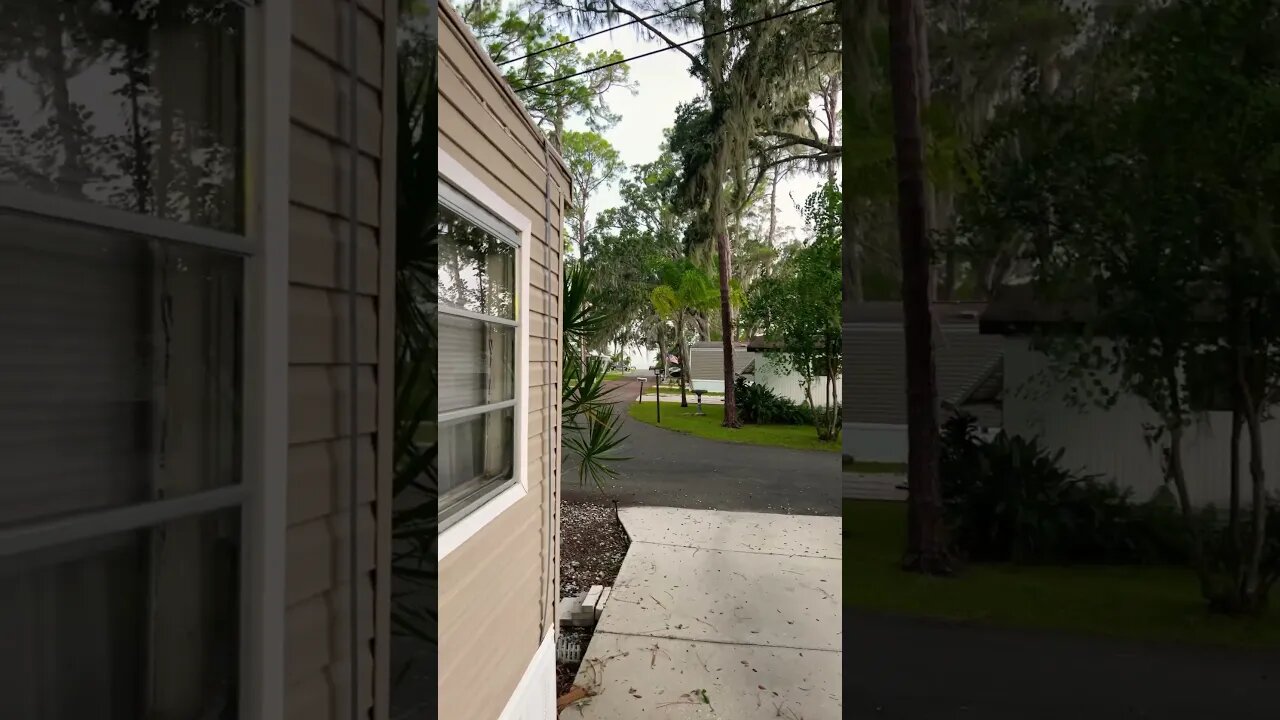 Heard debris banging on the roofs