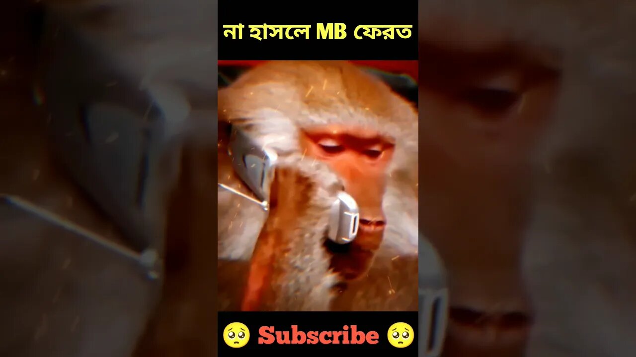 না হাসলে MB ফেরত || Monkey Vs Dog Funny Fighting #shorts #viral