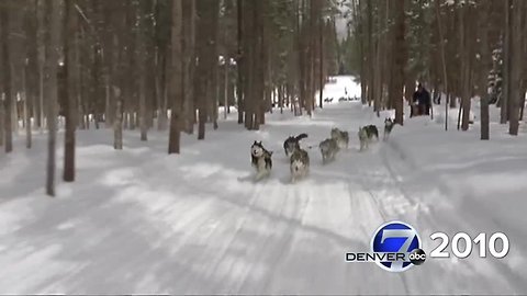 Denver7 Classic - Dog Sledding 2010