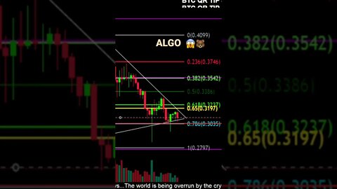 ALGO looking to move lower!😱🚨🐻🧟‍♂️