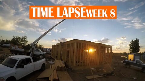 CONSTRUCTION TIME LAPSE - WEEK 8