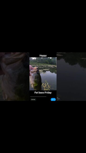 Happy Father's Bass Friday #pondfishing #fishing #largemouthbassfishing