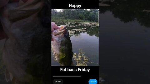 Happy Father's Bass Friday #pondfishing #fishing #largemouthbassfishing