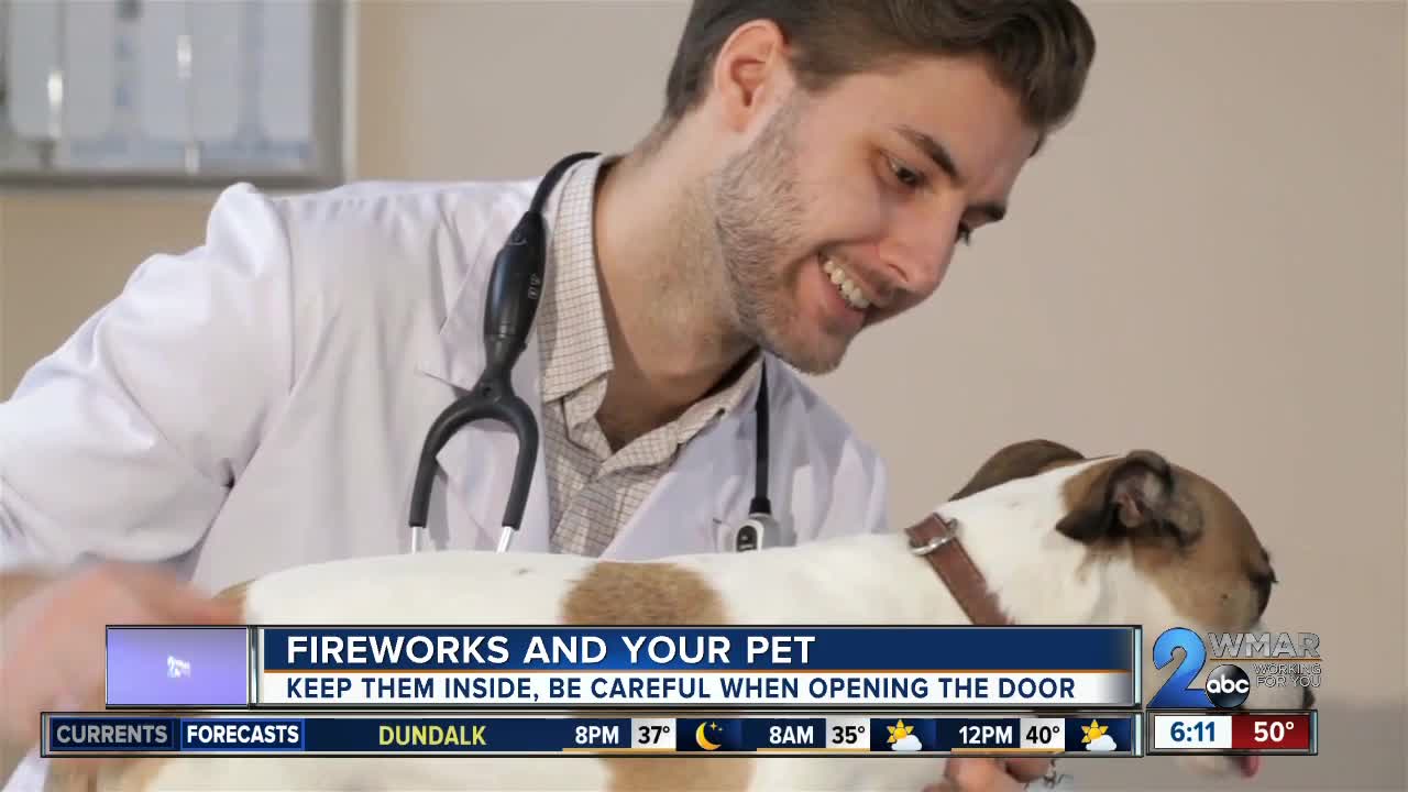 Fireworks and your pet, keep them inside and be careful when opening the door