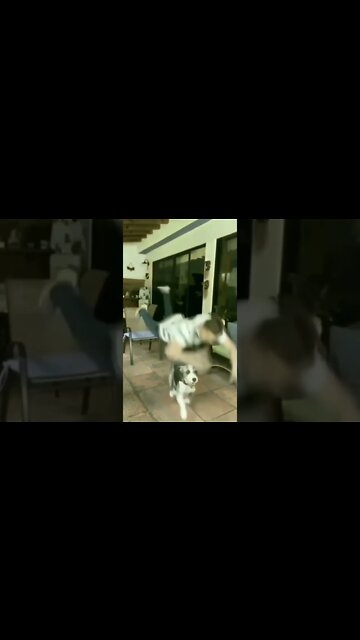 This is what happens when you lose focus...#short