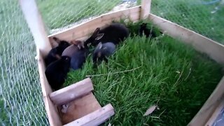 That was just a good joke