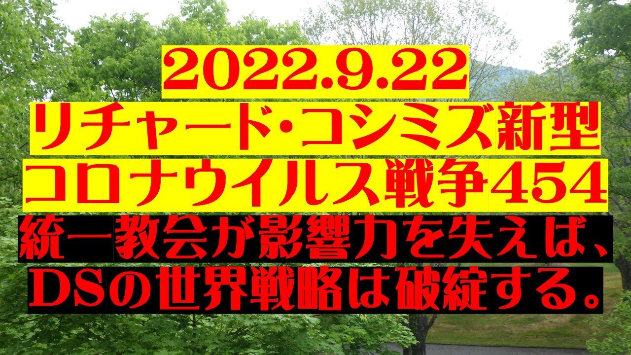 2022.09.22 リチャード・コシミズ新型コロナウイルス戦争４５４