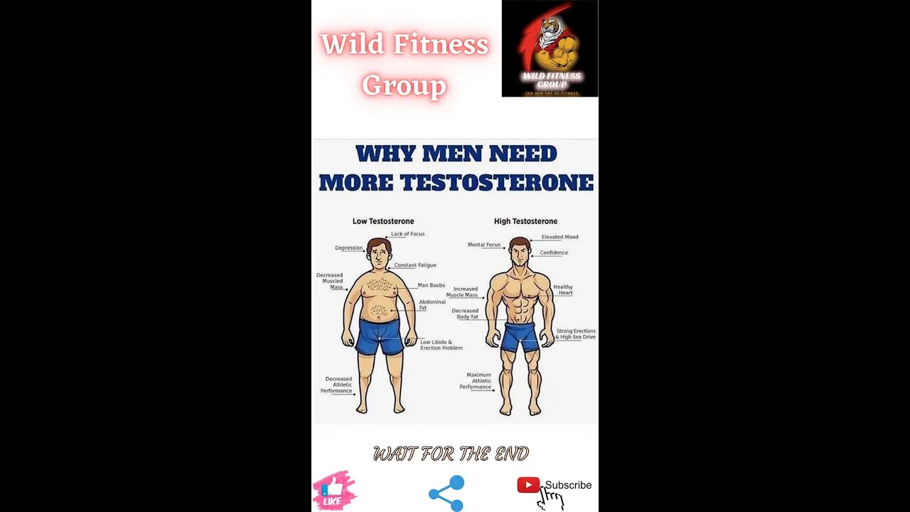 🔥Why men need more testosterone🔥#shorts🔥#viralshorts🔥#fitnessshorts🔥#wildfitnessgroup🔥