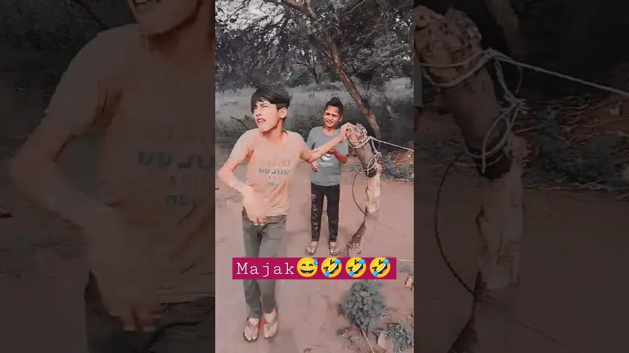 new short video # funny 🤣 video.......😛😅🤣🤣🤣🤣🤣