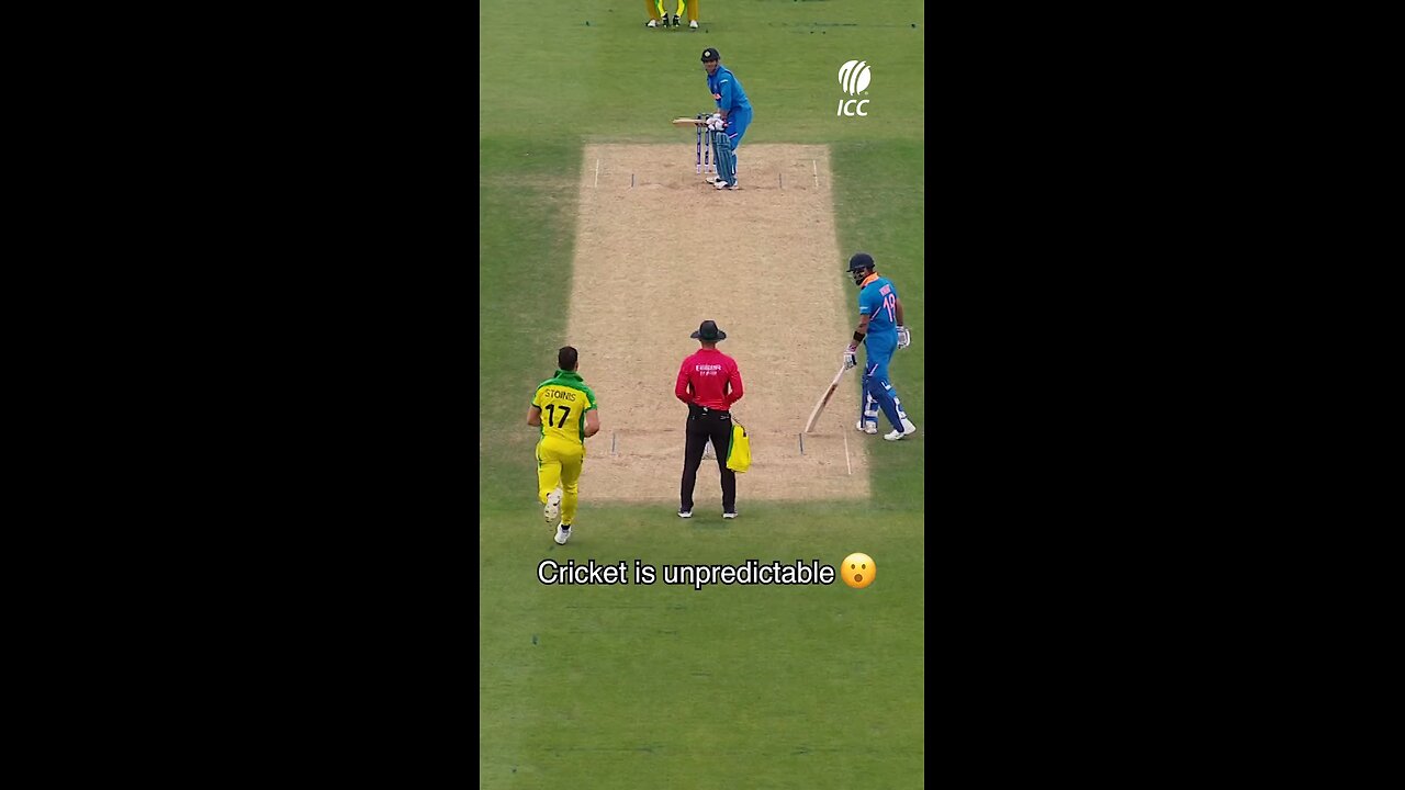 cricket hafness